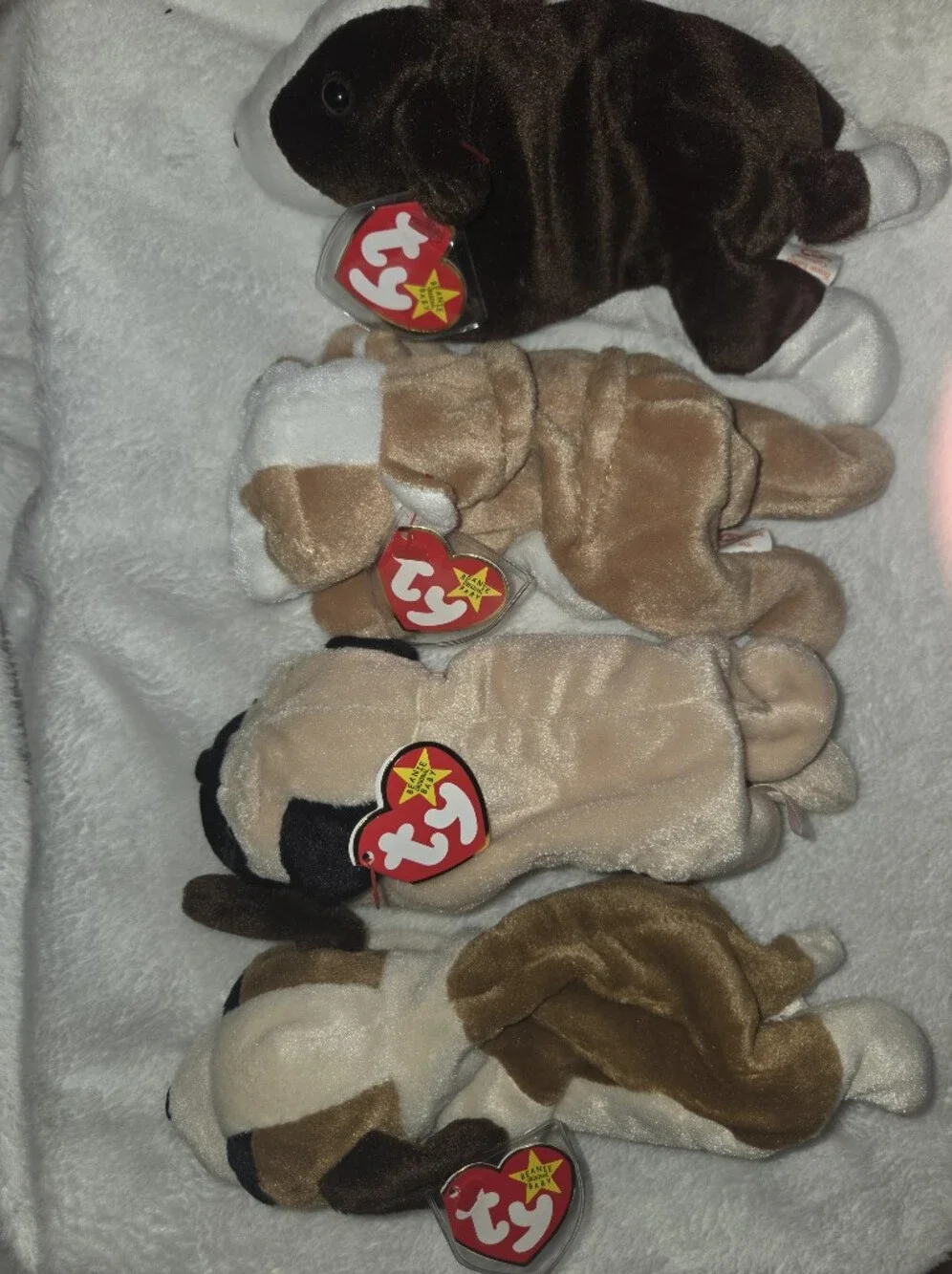 Ty Lot Of 4 Plush Puppy's, Bernie, Wrinkles, Pugsly, Bruno Tags Attached